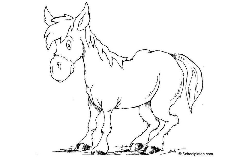 Página para colorir cavalo