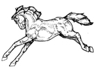 paginas-para-colorir cavalo