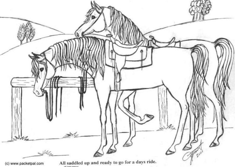 Página para colorir cavalos selados