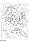Página para colorir cavalos selvagens