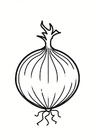 cebola