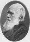 Página para colorir Charles Darwin