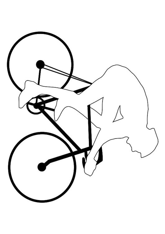 ciclismo