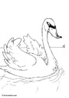 Página para colorir cisne