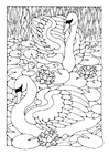 paginas-para-colorir cisnes
