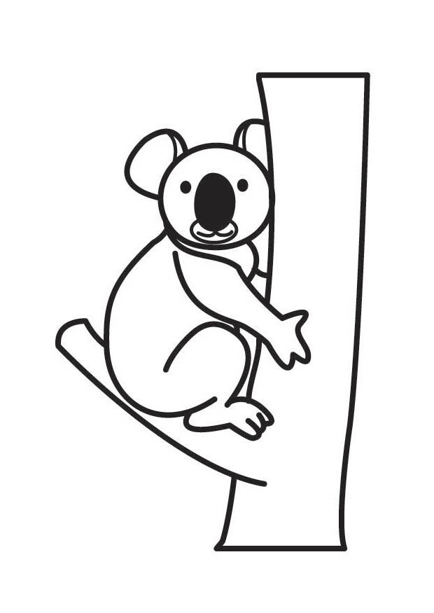 Página para colorir coala