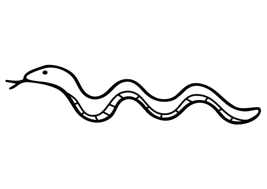 Desenho de Serpente grande para Colorir - Colorir.com