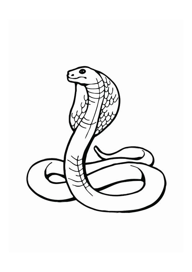 Desenho de Serpente cascavel para Colorir - Colorir.com