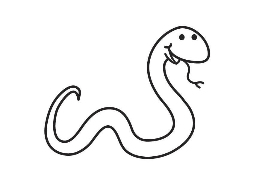 Desenho de Cobra para colorir  Desenhos para colorir e imprimir gratis