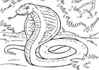 Desenho Para Colorir cobra - Imagens Grátis Para Imprimir - img 10355