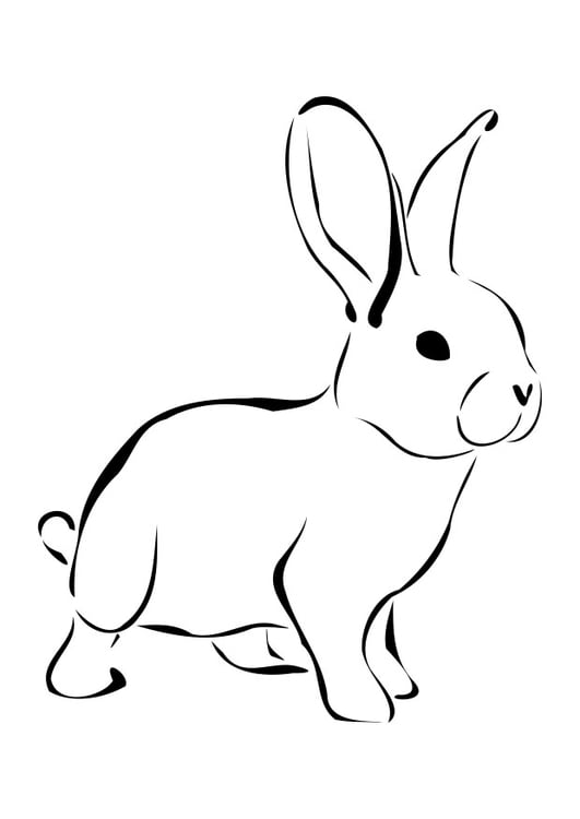 Página para colorir coelho