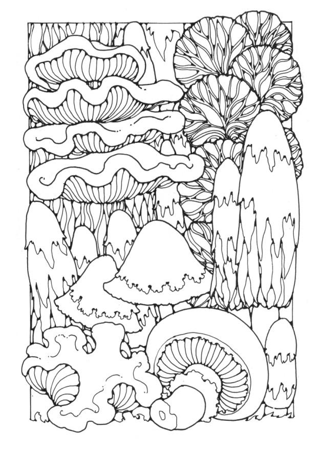Página para colorir cogumelos 