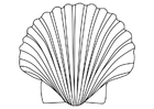 concha de São Tiago