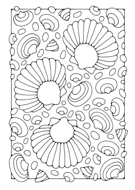 Página para colorir conchas 