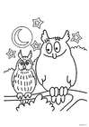 paginas-para-colorir corujas