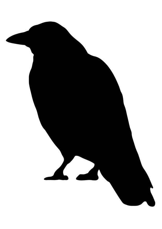 Página para colorir corvo