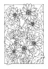 P�ginas para colorir crisântemo 