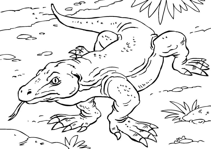 Página para colorir crocodilo-da-terra