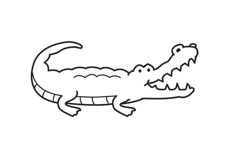 Página para colorir crocodilo