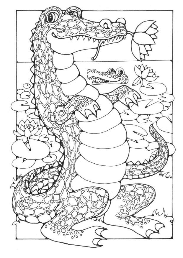 Página para colorir crocodilos 