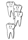dentes