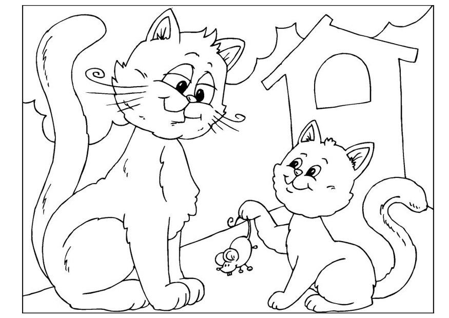 Página para colorir dia dos pais - gatinhos