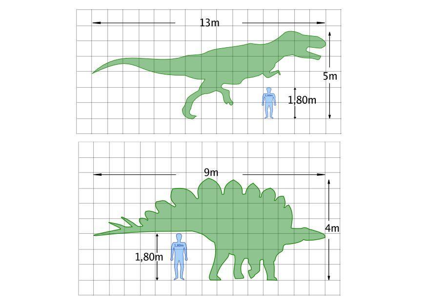 Página para colorir dimensÃµes dos dinosauros