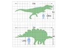 P�ginas para colorir dimensões dos dinosauros