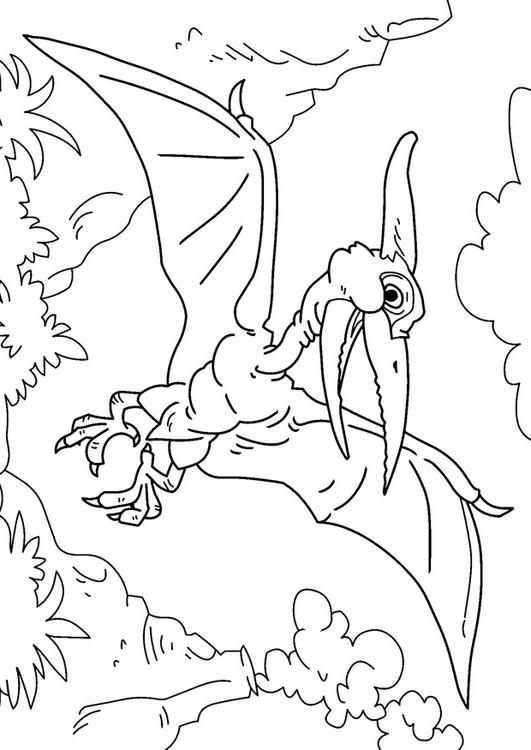 Desenho Para Colorir dinossauro - pteranodonte - Imagens Grátis Para  Imprimir - img 27628