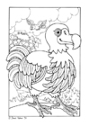paginas-para-colorir dodo