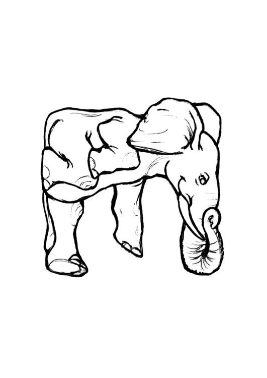 e-elefante