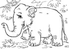 Página para colorir elefante asiÃ¡tico