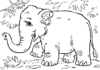 P�ginas para colorir elefante asiático