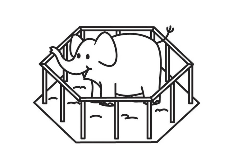 Página para colorir elefante na jaula