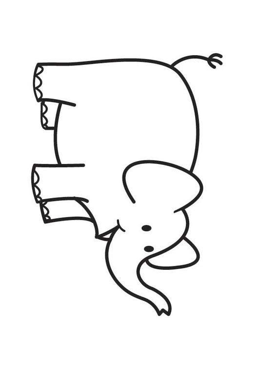elefante 