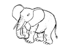 P�ginas para colorir elefante