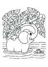 P�ginas para colorir elefante