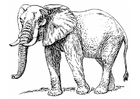 P�ginas para colorir elefante 