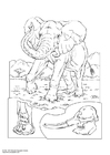 P�ginas para colorir elefante