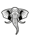 P�ginas para colorir elefante