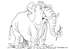 P�ginas para colorir elefante