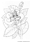 paginas-para-colorir elfo