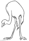 paginas-para-colorir emu