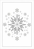 Estrelas de Natal cintilam