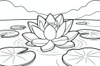 flor de lótus