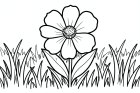 flor em um prado