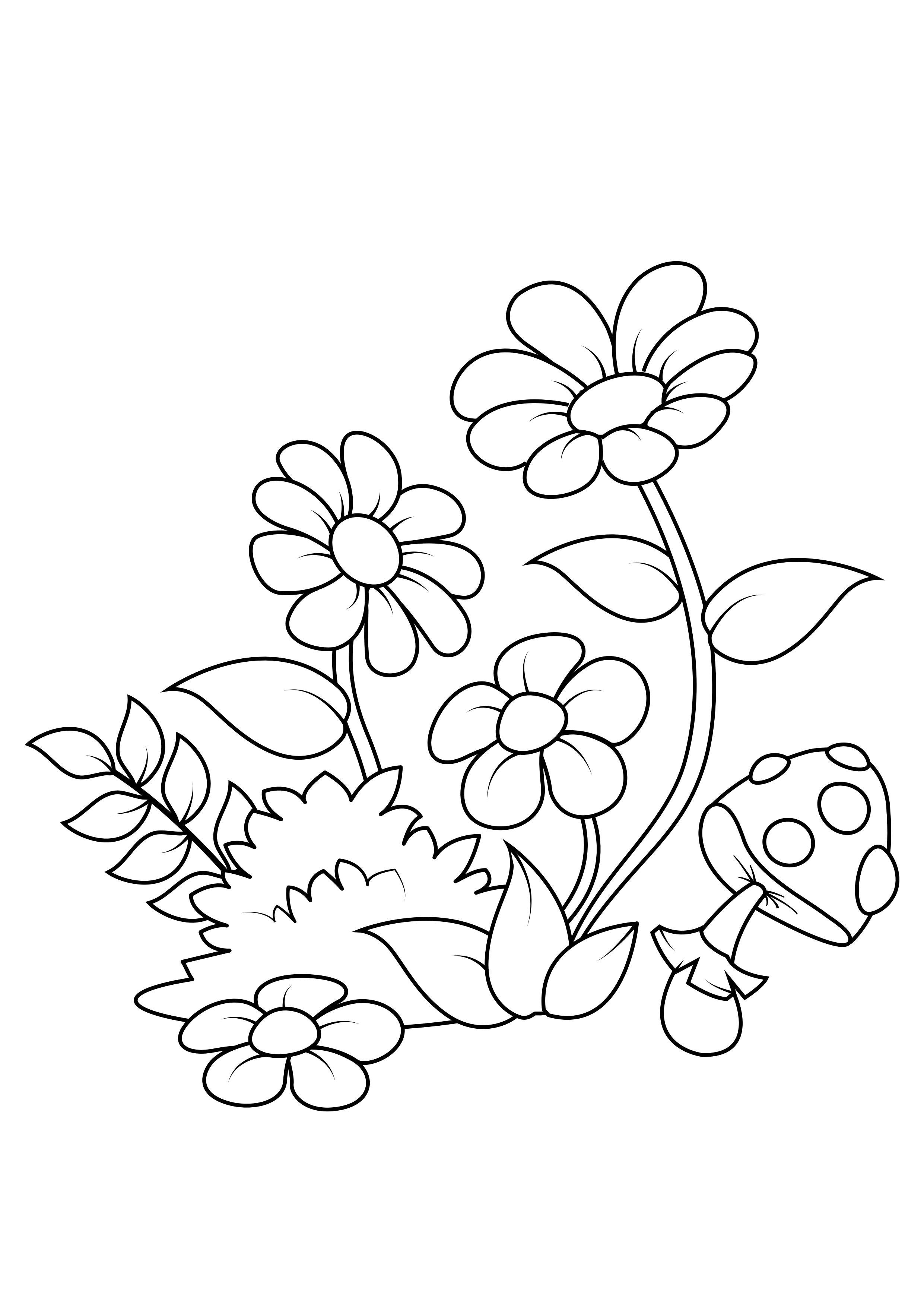 Desenhos de Flores para Colorir Grátis