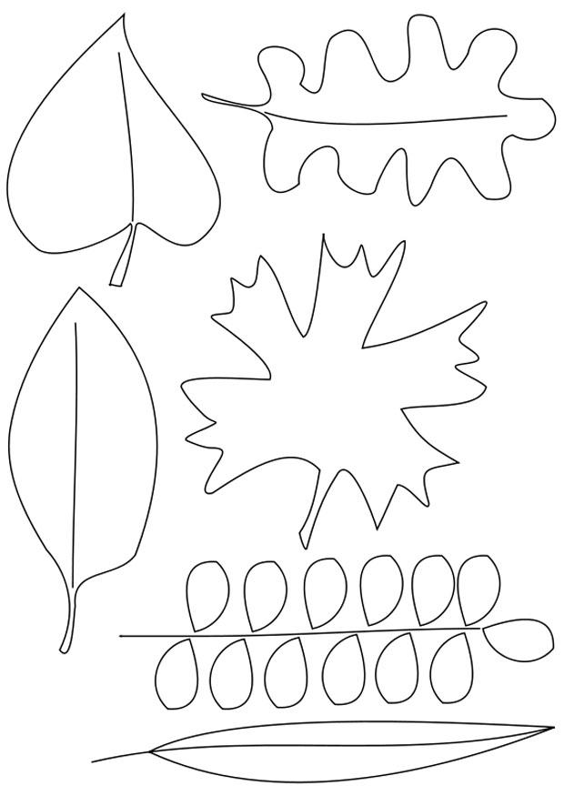 Página para colorir folhas