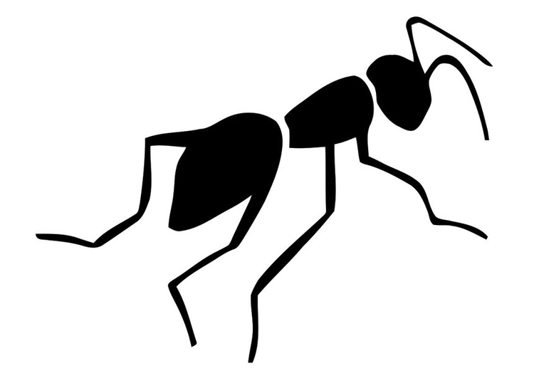Página para colorir formiga