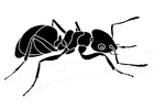 Página para colorir formiga 
